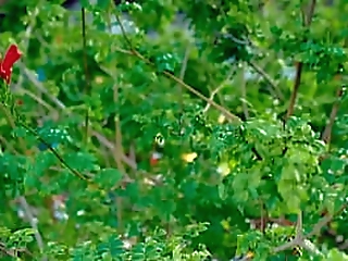 baby transex briza a beauty peruvian shemale getting fucked outdoor