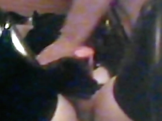 couple having kinky tranny fun