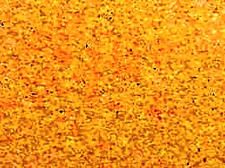 big booty shemale bareback compilation