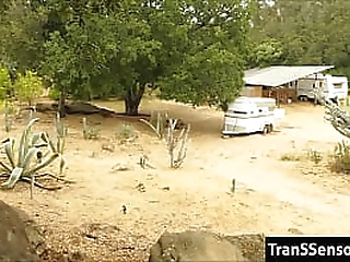 step brother fucks his trans stepsister