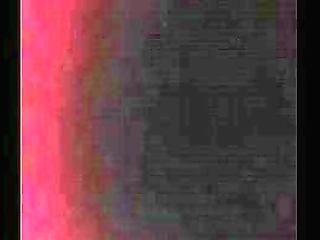 i think i know where we can find you some shemale cock