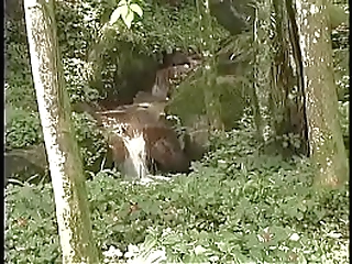 hot tgirls twosome give horny stud and ass fucking