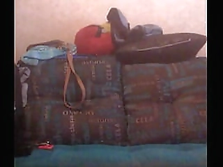 trannies r us - this ladyboy have such a huge hairy cock !