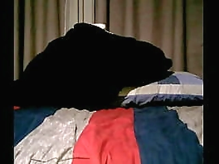 trans fuck gay and gay fuck shemale