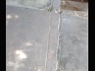 danielle davilla mature shemale in crossing the bridge