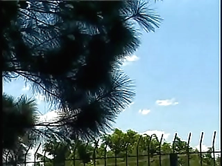 guy lays on the ground with legs spread and tranny and him jerk off together