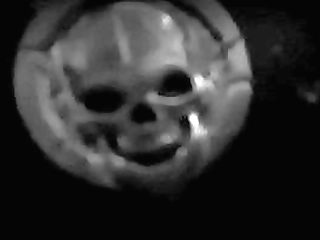 softest blowjob kiki by shemale diva!