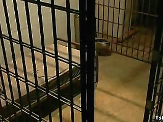 locked guy is anal fucked by ts lawyer