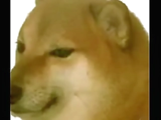 sexy shemale with small tits play with her arousing nipples