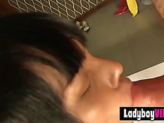 flat chested asian teen ladyboy slut nice blowjob