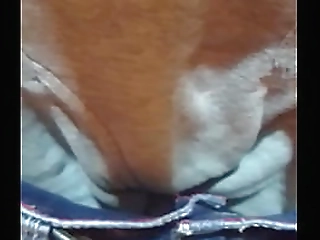 horny blonde ts beauty camile rios stroking big dick well