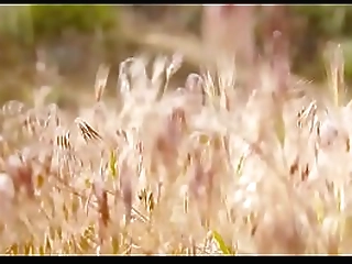 aubrey kate shemale fucks girl