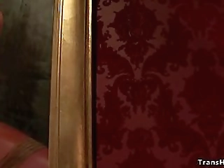 big cock shemale fucks tied babe