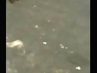 ts leticia   letizia spit roast their lover