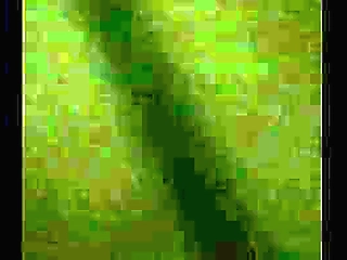 teen ladyboy with shaved cock fucked in reverse cowgirl