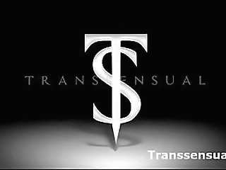 sexy shemale (transsensual) compilation videos