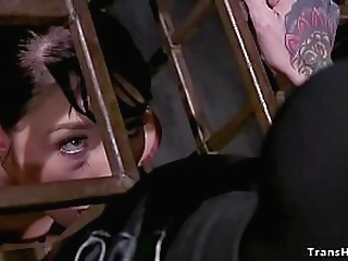 tattooed shemale fucks brunette