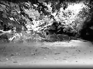 pool boy gets an ass fucking from busty blonde shemale