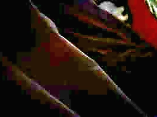 ebony ts malibu barby solo masturbation