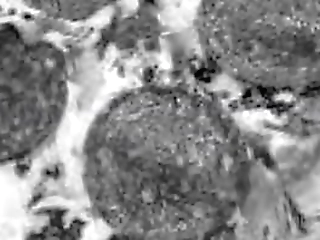 trans lizzy laynez seduced pizza delivery guy for hot sex fantasy ots342