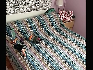 fishnet shemale gets her ass fucked by a stranger s mouth