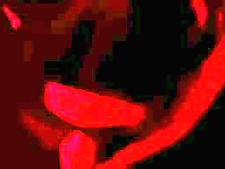 blonde mature woman loves sucking tranny s bbc